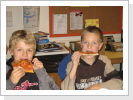 Klicken Sie auf das Bild, um es zu vergrößern
